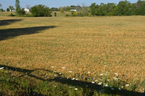 Property photo 86 - 21 Acre Modern Country Estate